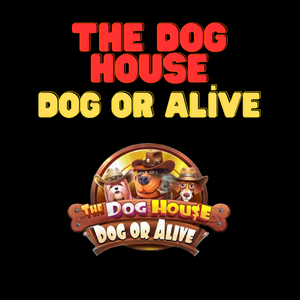 The Dog House – Dog or Alive Oyna